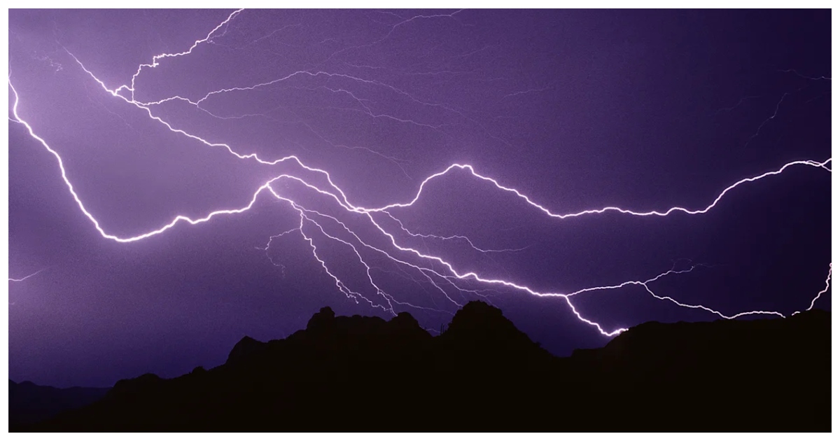 কেনি গুন্থারের ধারণকৃত ভিডিওটি সামাজিক মাধ্যমে ব্যাপক ভাইরাল হয়। ছবি: ইয়াহু