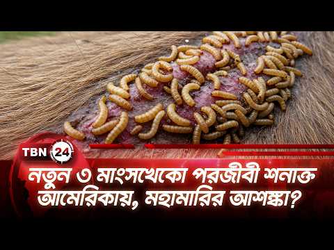 নতুন ৩ মাংসখেকো পরজীবী শনাক্ত আমেরিকায়, মহামারির আশঙ্কা? | Flesh Eating parasites in USA |TBN24 NEWS