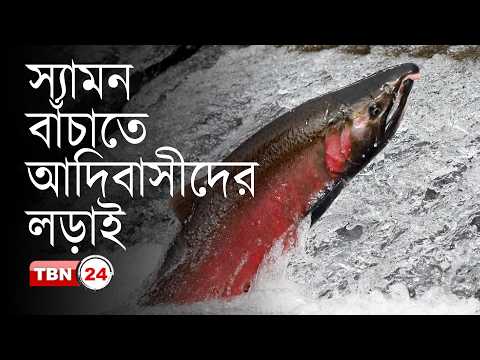 ভবিষ্যৎ প্রজন্মের জন্য স্যামন ধরার ঐতিহ্য সংরক্ষণ করছেন নেইটিভ অ্যামেরিকানরা
