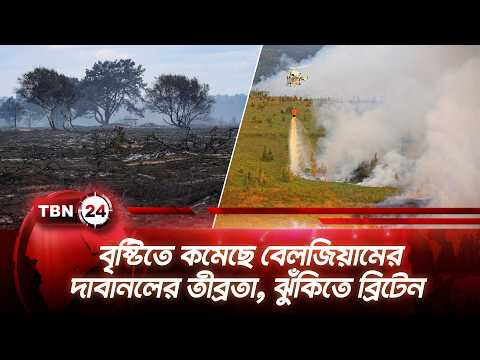 বৃষ্টিতে কমেছে বেলজিয়ামের দাবানলের তীব্রতা, ঝুঁকিতে ব্রিটেন | Belgium Wildfire Crisis | TBN24 NEWS