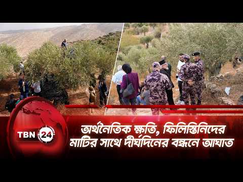 অর্থনৈতিক ক্ষতি, ফিলিস্তিনিদের মাটির সাথে দীর্ঘদিনের বন্ধনে আঘাত | Palestine Gaza | TBN24 NEWS