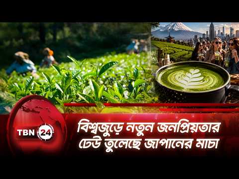 বিশ্বজুড়ে নতুন জনপ্রিয়তার ঢেউ তুলেছে জাপানের মাচা | Matcha | Japan | New York | TBN24 NEWS