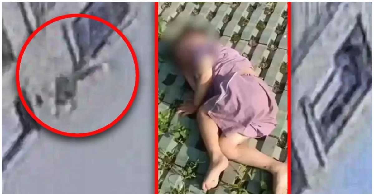 পড়ন্ত শিশু ও নিচের কংক্রিটের মধ্যে বাধা হয়ে দাঁড়ায় একটি গাছ। সে গাছের কারণেই সরাসরি মাটিতে পড়েনি সে। ছবি: এসসিএমপি